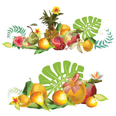 Vector fruits composition2