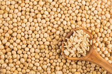 Crushed soybeans - Glycine max. White background