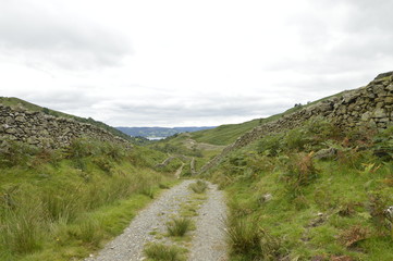 rural path leads into town 