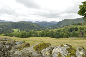view over a dry stone wall in the lake district