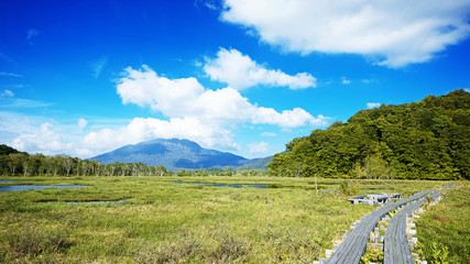 尾瀬ヶ原