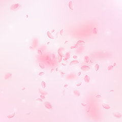 Sakura petals falling down. Romantic pink flowers 