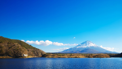 Fototapeta na wymiar 精進湖と富士山