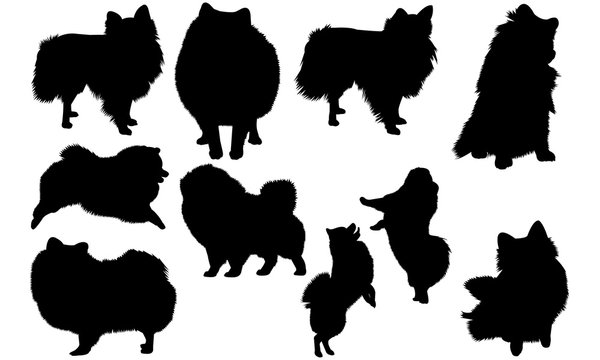 Pomeranian Dog svg files cricut,  silhouette clip art, Vector illustration eps, Black Dog  overlay