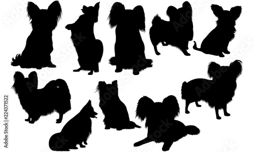 Download Papillon Dog Svg Files Cricut Silhouette Clip Art Vector Illustration Eps Black Dog Overlay Wall Mural Loveleen