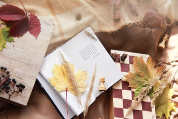 Naklejka na ściany i meble Brown layout with A book and autumn leaves
