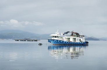 Mussel boat and mussel bed in sea. Mussel aquaculture. Marine landscape. Rias Bajas Galicia Spain