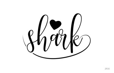 shark typography text with love heart