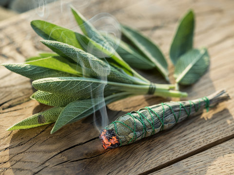 Burning sage stick and fresh sage leaves on the wooden background.