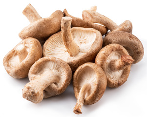 Shiitake mushrooms on the white background.