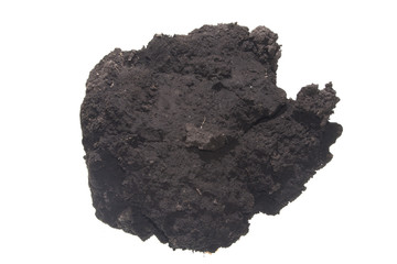 Fototapeta premium earth isolated on white background