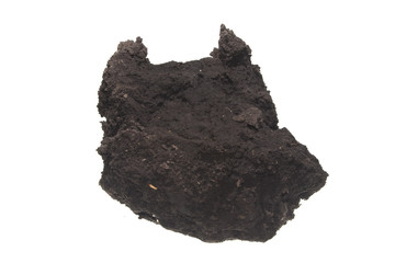 earth isolated on white background