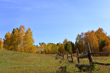 Beautiful autumn landscape. Forest in September. Nature in Autumn