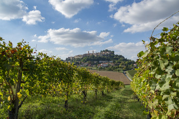 Fototapeta na wymiar Vineyards and a small Italian city