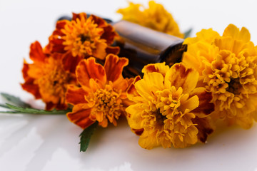 essential oil marigold on a white background