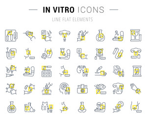 Set Vector Line Icons of In Vitro.