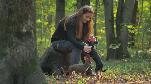 woman with red hair sitting in a forest on a stump and caresses two little dogs