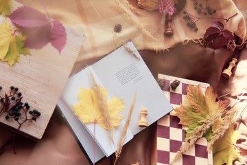  The open book lies on a beige plaid next to the chessboard 