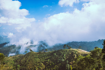 Fog over the mountains.In the rainy weather in the countryside. Filled with green trees and beautiful nature.