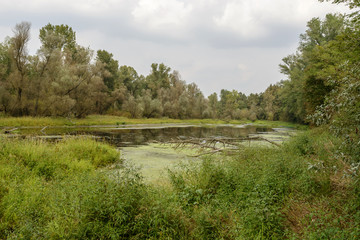 oxbow lake at Ticino river near Bernate, Italy