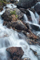 Великолепный горный пейзаж с водопадом. Красивый горный ручей и волшебные горные цветы