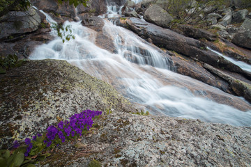 Великолепный горный пейзаж с водопадом. Красивый горный ручей и волшебные горные цветы