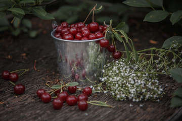 red berries on a green background