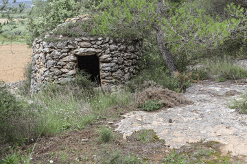 Fototapeta na wymiar Stone rural farming structure, wone cava penedes area,Catalonia,Spain.