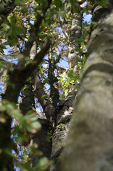 Another autumn day in park