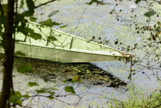 prow of traditional green metal boat  in oxbow lake at Ticino river near Bernate, Italy