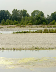 shingle islands and clear waters of Ticino river near Bernate, Italy