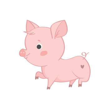 vector single pig character on white background