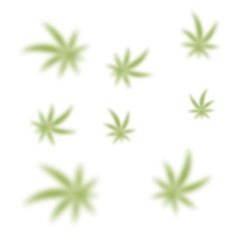 Green Cannabis Leaves Seamless Background. Marijuana Pattern. Hemp Growth.