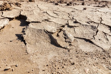 Cracks in Dry Earth