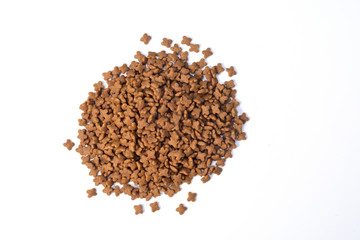 closeup of feed of dog