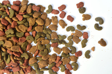 close up of a food dog