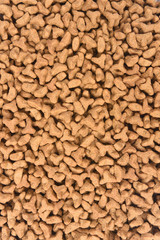 closeup of feed of cat