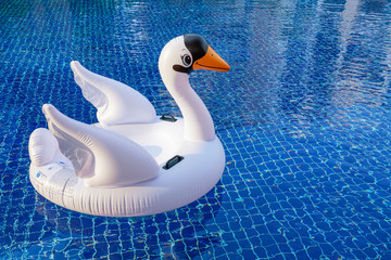 Inflatable swan on blue tile summer swimming pool.