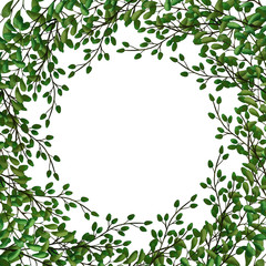 Exotic set of Green leaves, herbs and branches. Border frame template on white background. Place for text .