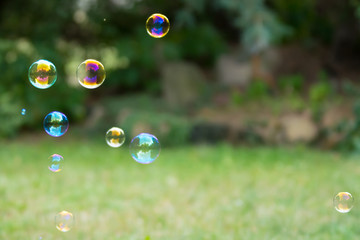 Group of colorful soap bubbles at the green background in a garden