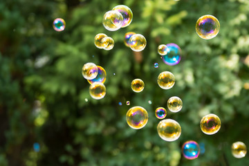 Group of colorful, mostly yellow soap bubbles at the green background in a garden