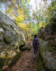 young woman hiking in autumn forest