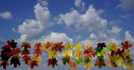 Слово осень на фоне неба