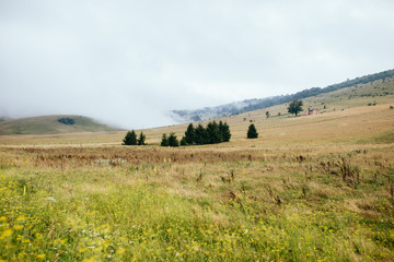 Obraz premium rural landscape in europe