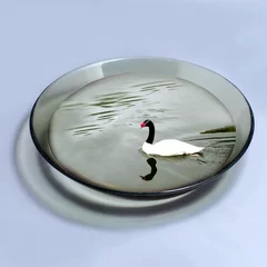 Wall murals Swan Black-necked swan floats in bowl with water