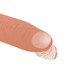 Fingerprint. vector illustration