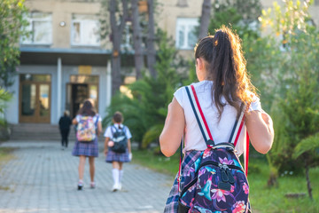 schoolgirl in uniform goes to school, education