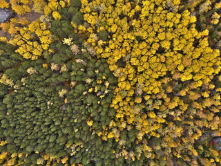 Aerial view of autumn forest in the Siberian nature reserve Stolby.