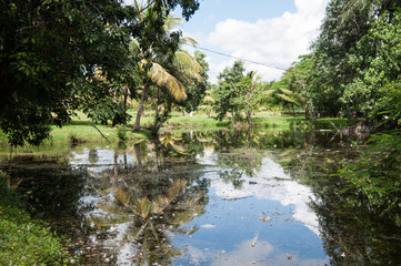 Scenic views from paradise island