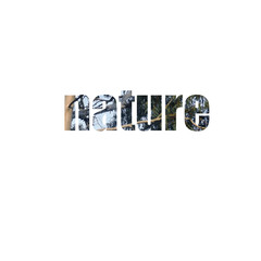 nature lettering